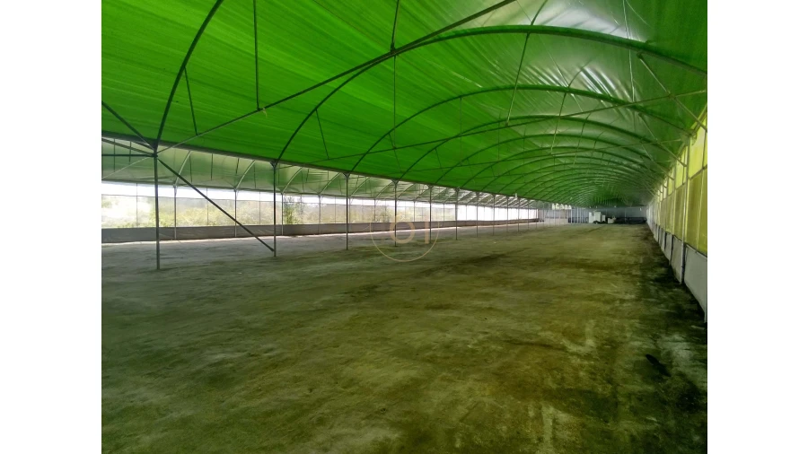 Terreno para Venda em Soalhães Foto 8