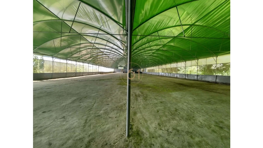 Terreno para Venda em Soalhães Foto 7