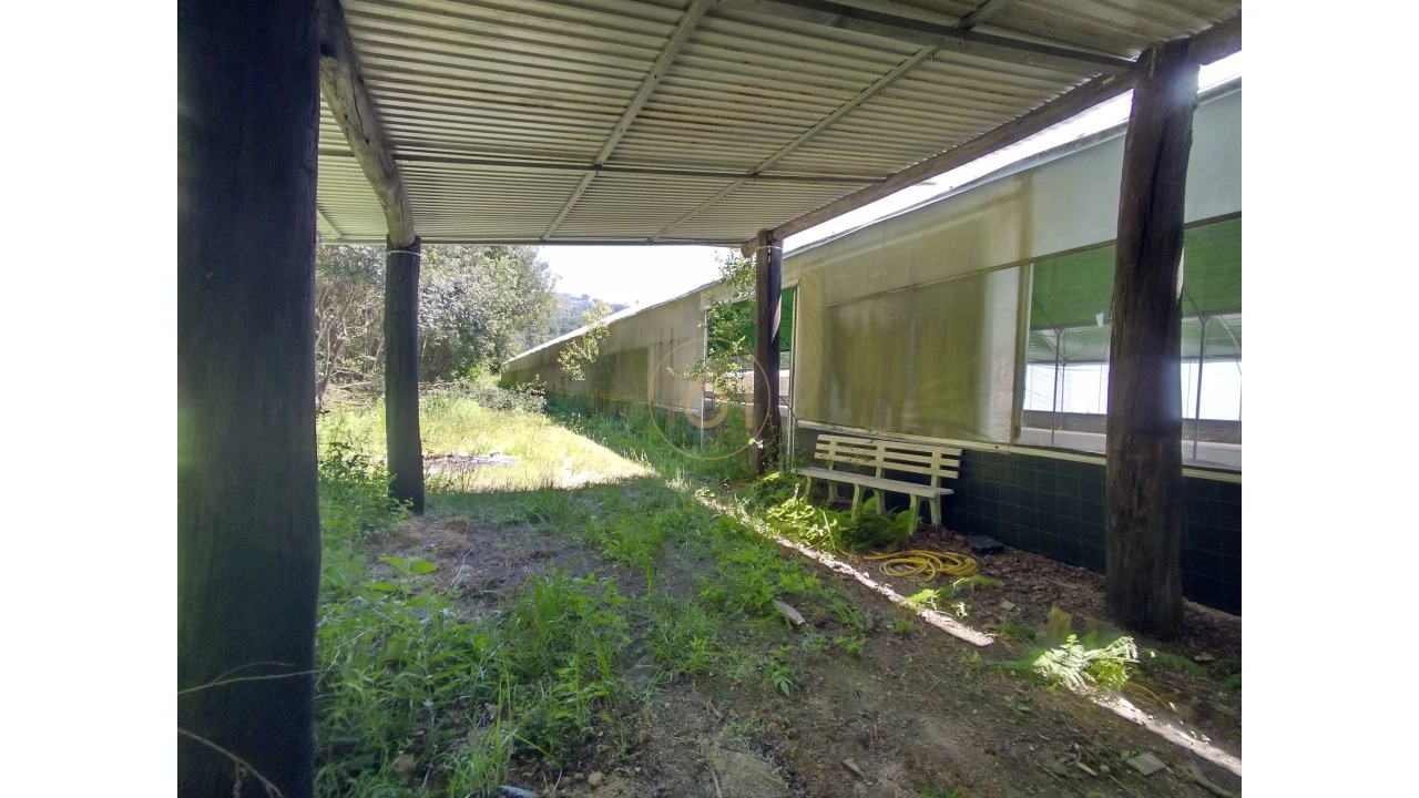 Terreno para Venda em Soalhães Foto 12