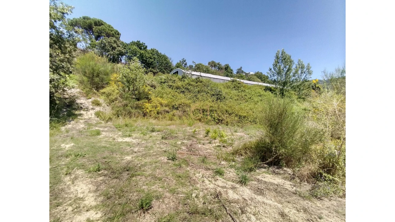 Terreno para Venda em Soalhães Foto 16