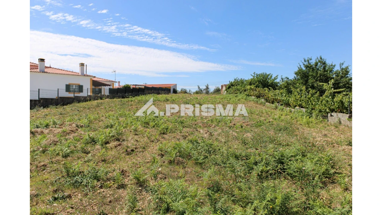 Terreno para Venda em Sobreira Formosa e Alvito da Beira Foto 2