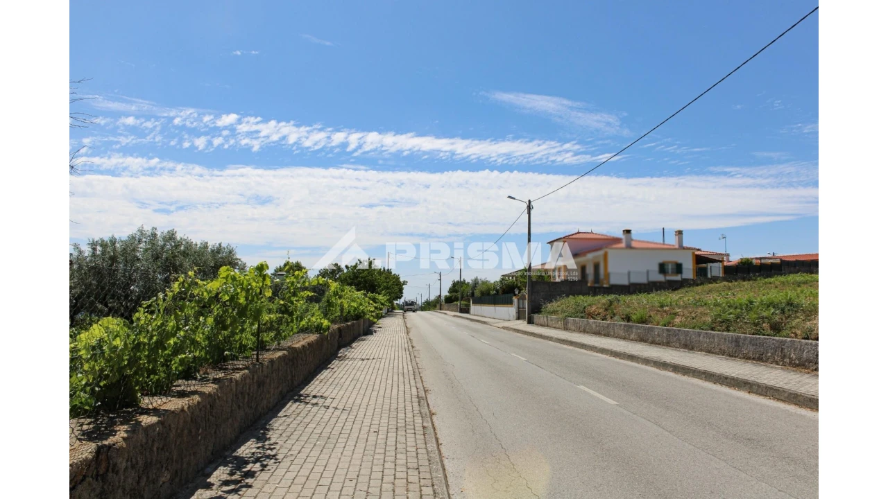 Terreno para Venda em Sobreira Formosa e Alvito da Beira Foto 10