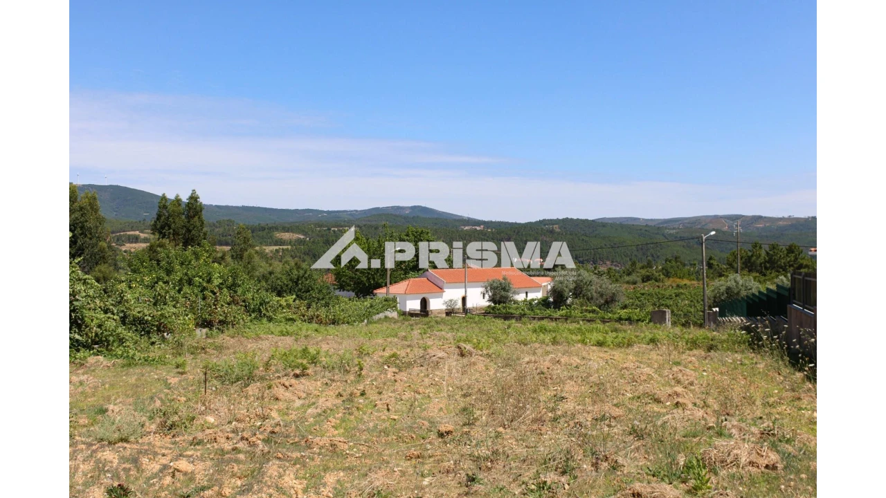 Terreno para Venda em Sobreira Formosa e Alvito da Beira Foto 6