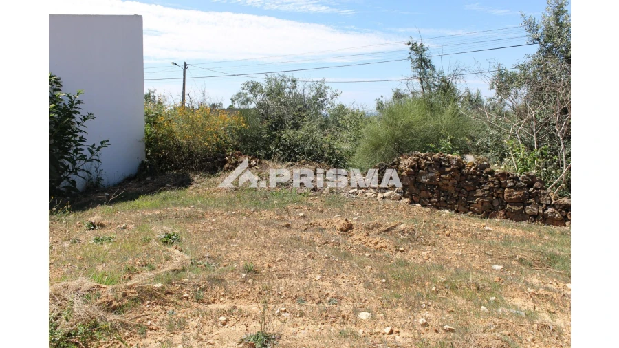 Terreno para Venda em Sobreira Formosa e Alvito da Beira Foto 5