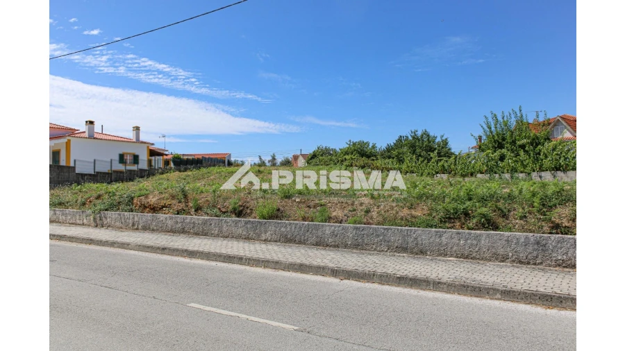 Terreno para Venda em Sobreira Formosa e Alvito da Beira Foto 4