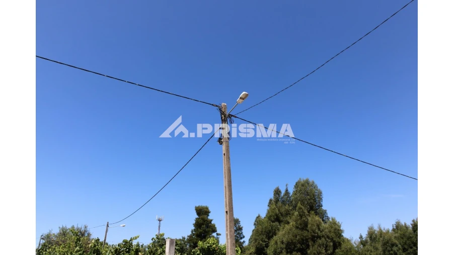 Terreno para Venda em Sobreira Formosa e Alvito da Beira Foto 9