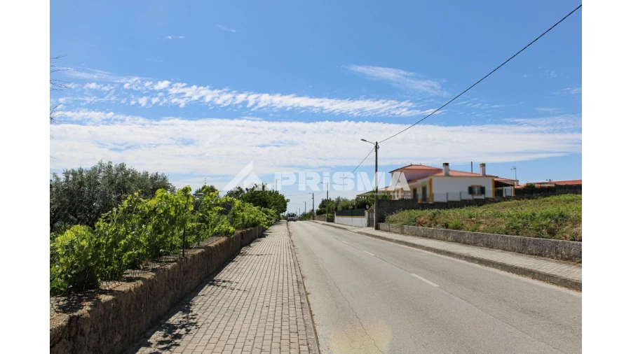 Terreno para Venda em Sobreira Formosa e Alvito da Beira Foto 10