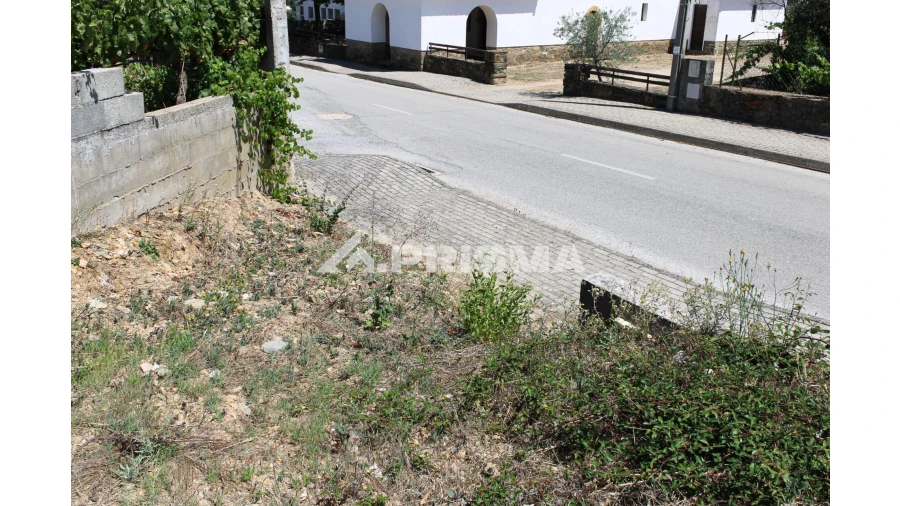 Terreno para Venda em Sobreira Formosa e Alvito da Beira Foto 8