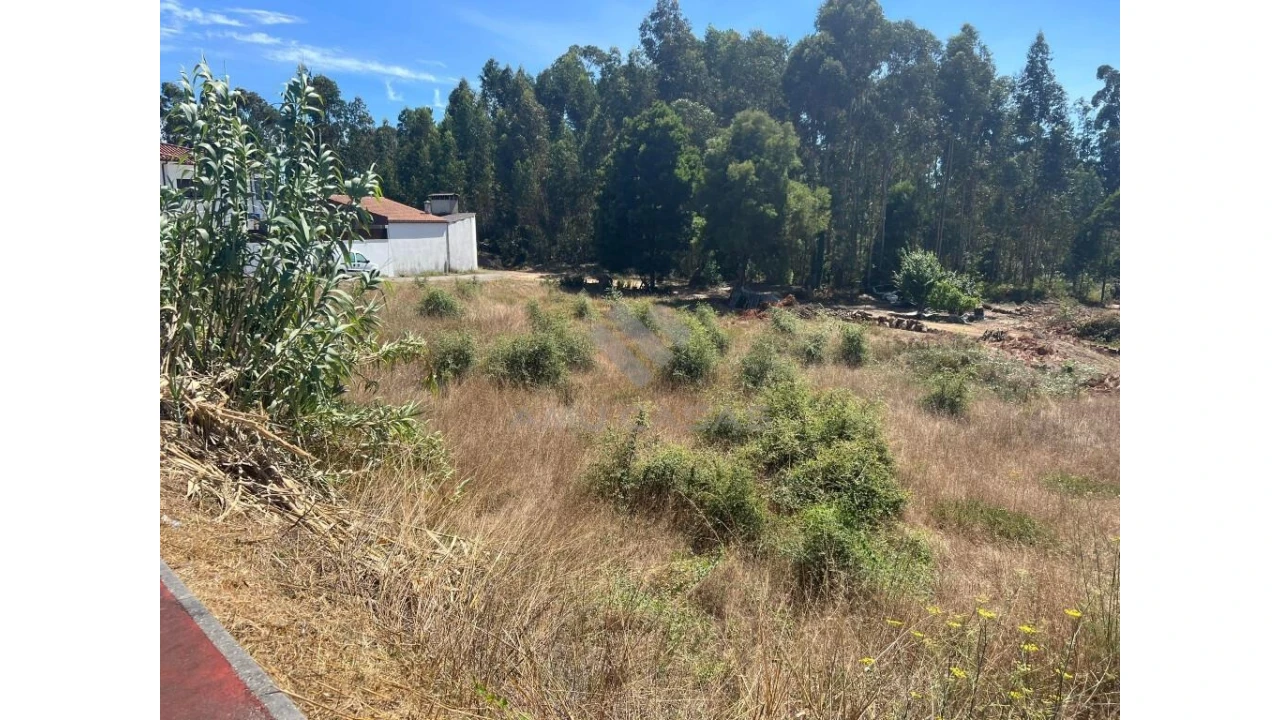 Terreno para Venda em Sangalhos Foto 1