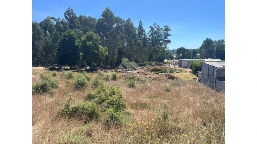 Terreno para Venda em Sangalhos Foto 7