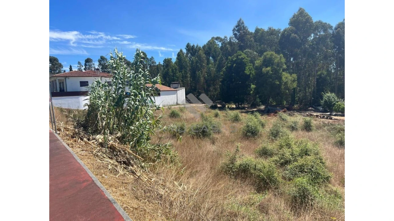 Terreno para Venda em Sangalhos Foto 6
