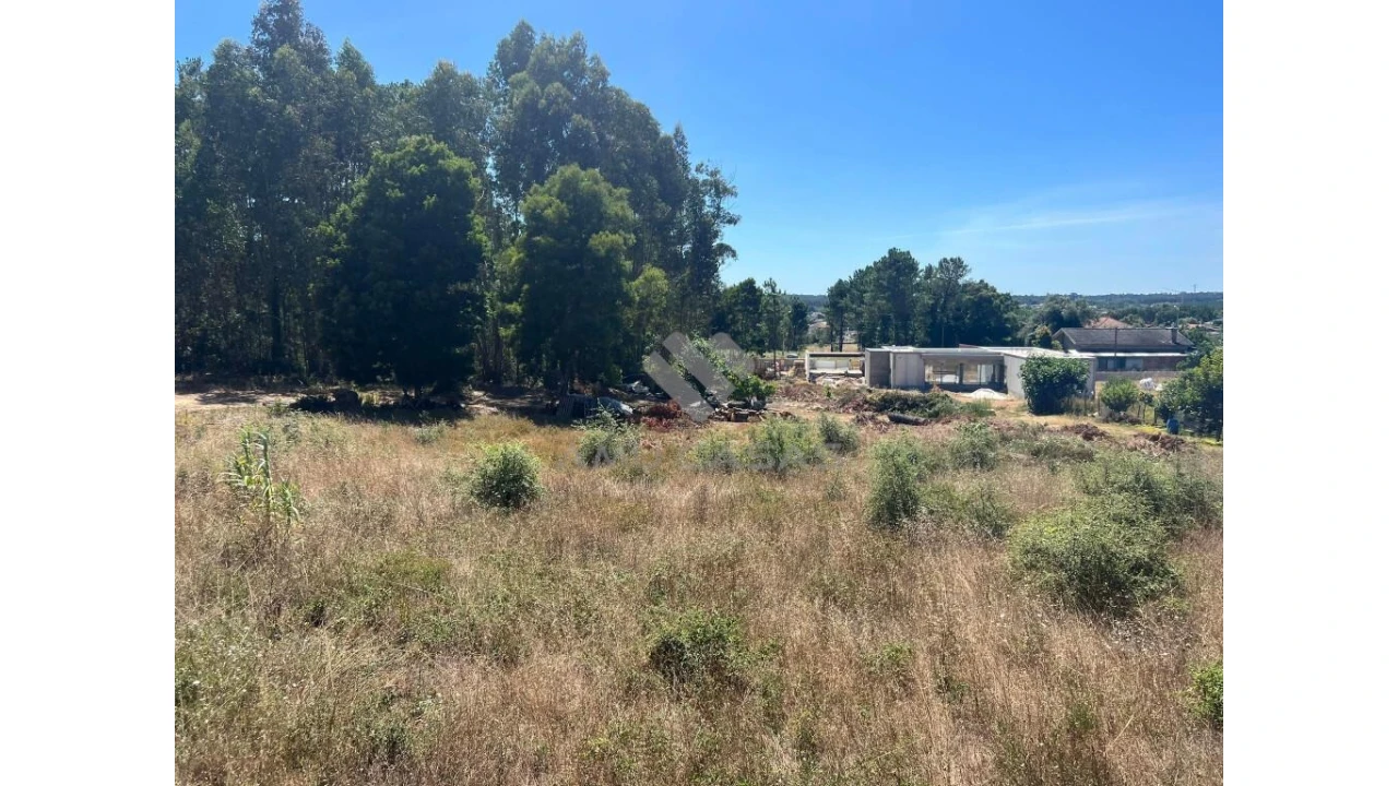 Terreno para Venda em Sangalhos Foto 5