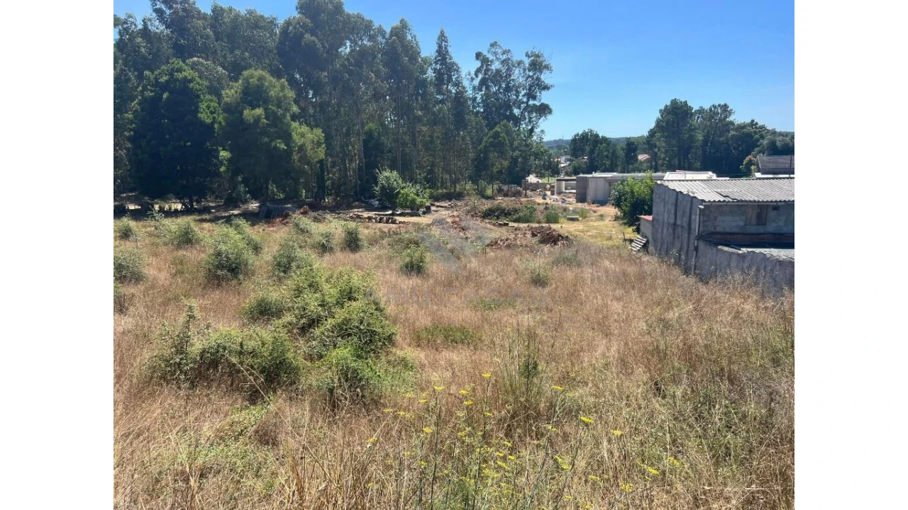 Terreno para Venda em Sangalhos Foto 3