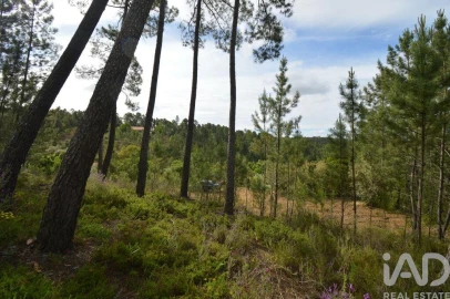 Moradia T2 para Venda em Sertã