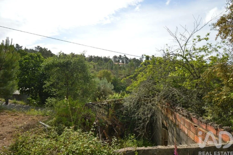 Moradia T2 para Venda em Sertã Foto 5