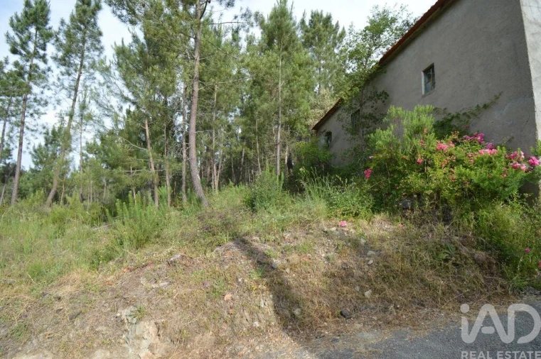 Moradia T2 para Venda em Sertã Foto 3