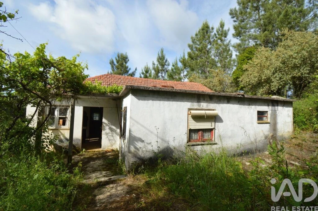 Moradia T2 para Venda em Sertã Foto 1