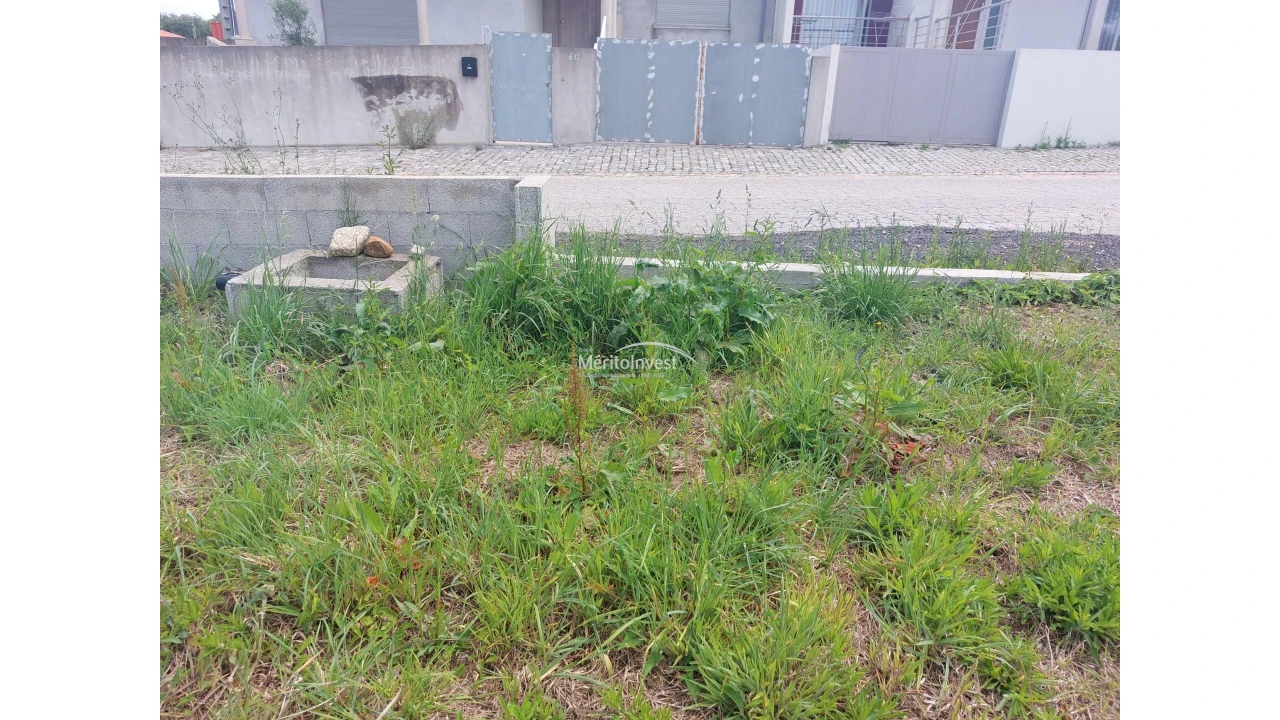 Terreno para Venda em Antas Foto 5