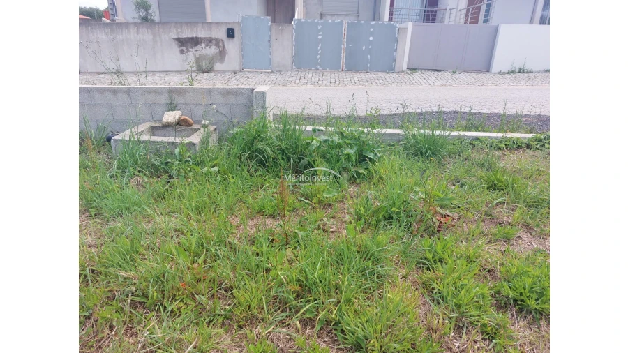 Terreno para Venda em Antas Foto 5