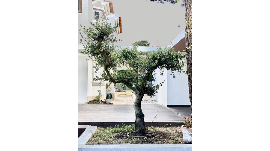 Moradia para Venda em Charneca de Caparica e Sobreda Foto 7