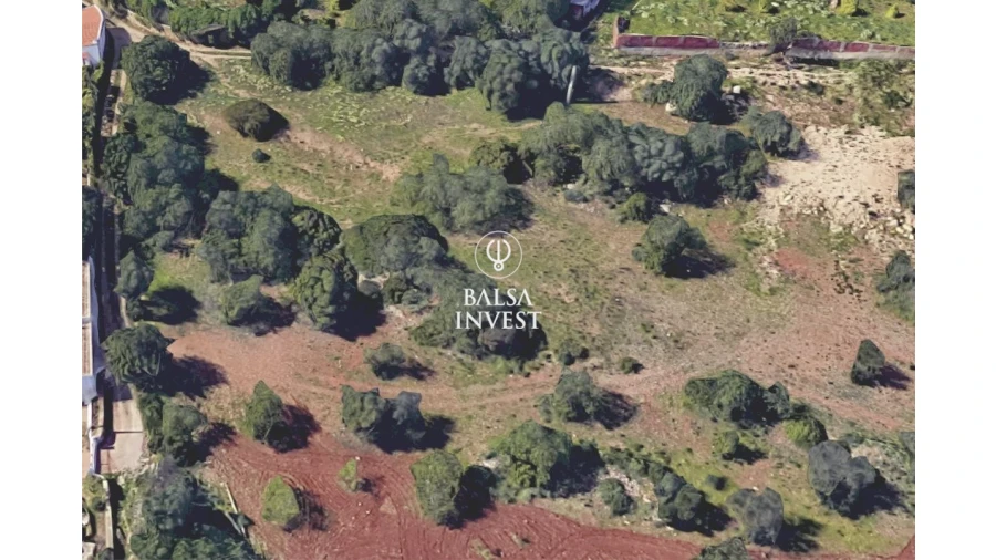 Terreno para Venda em Santa Barbara de Nexe Foto 2