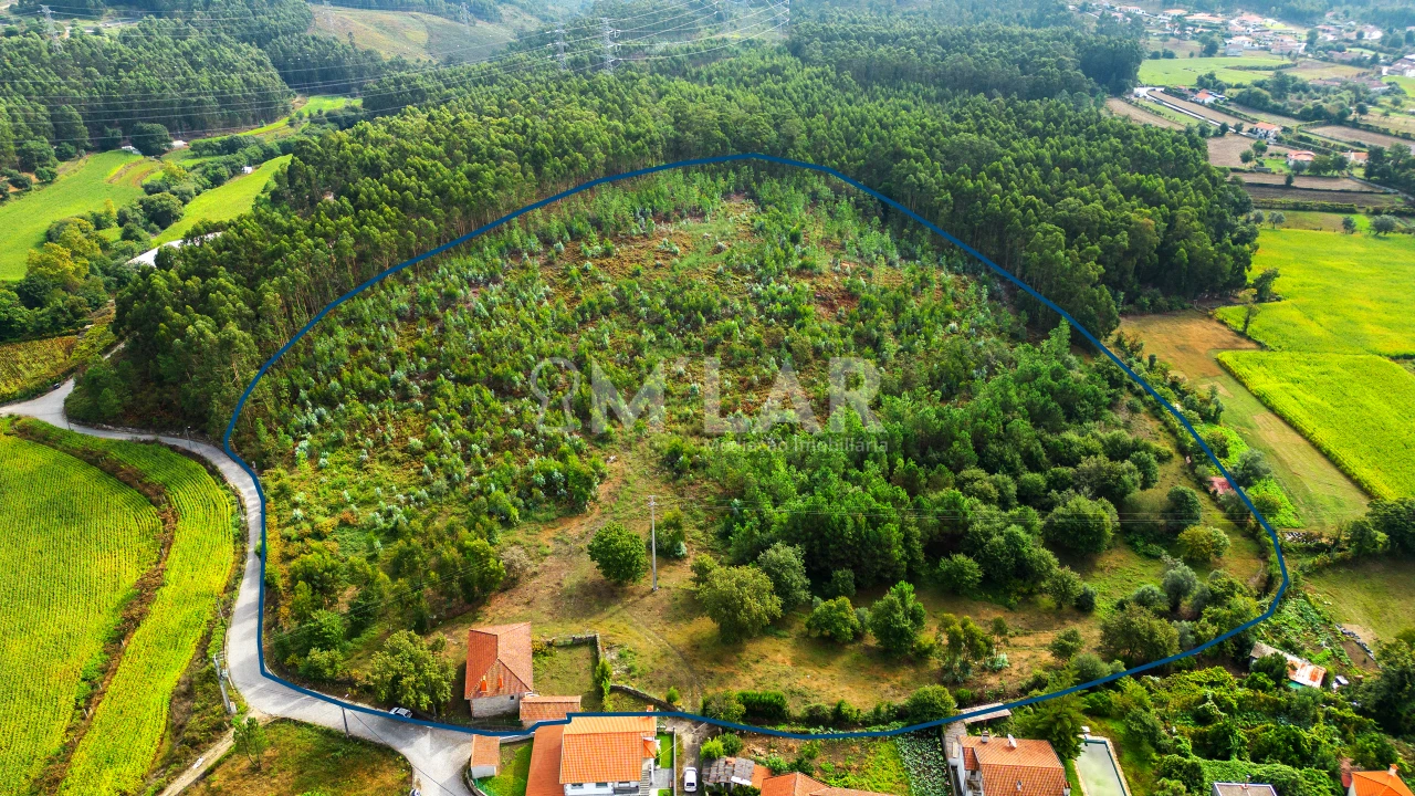 Quinta T3 para Venda em Pedralva Foto 4