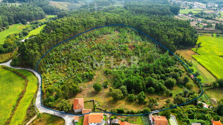 Quinta T3 para Venda em Pedralva Foto 4
