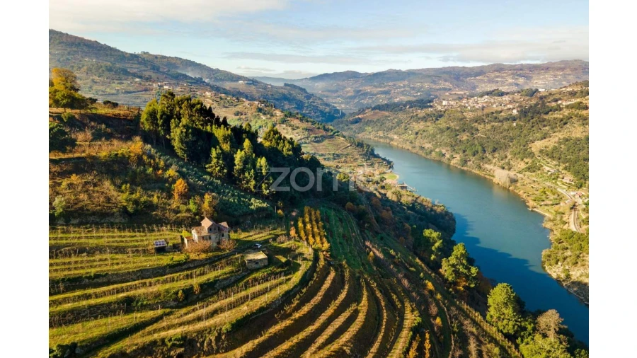 Moradia T7 para Venda em Salzedas Foto 14