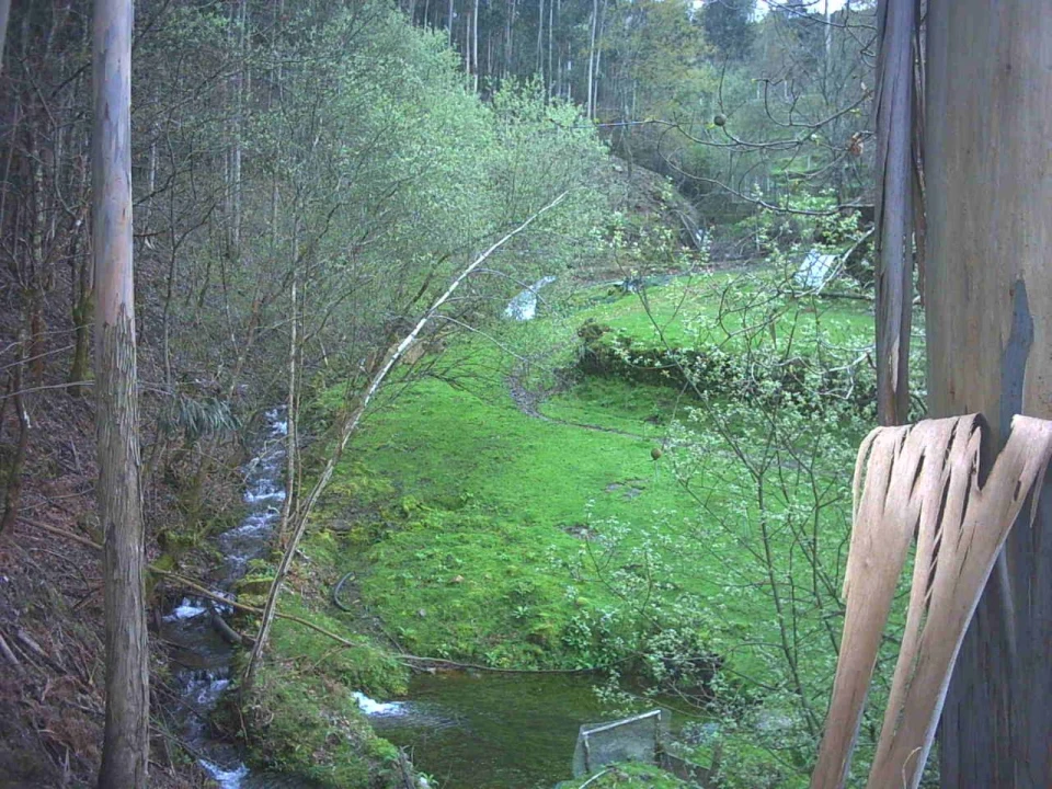 Quinta T3 para Venda em Portela Foto 18