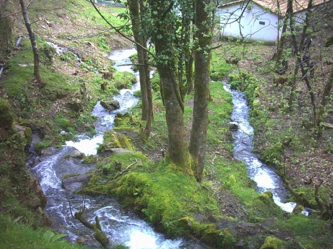 Quinta T3 para Venda em Portela Foto 14
