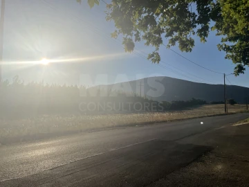 Terreno para Venda em Abrigada e Cabanas de Torres