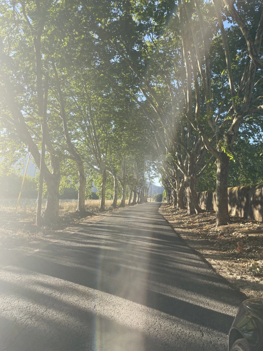 Terreno para Venda em Abrigada e Cabanas de Torres Foto 5