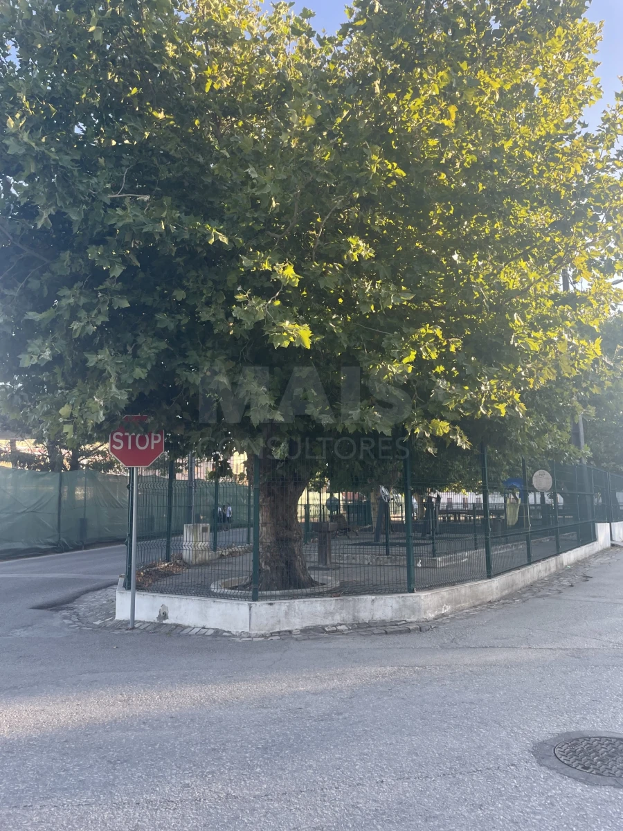 Terreno para Venda em Abrigada e Cabanas de Torres Foto 3