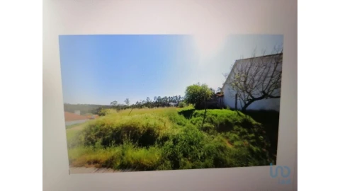 Terreno para Venda em Carriço