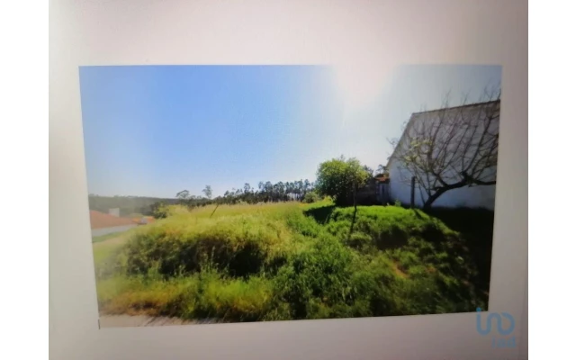 Terreno para Venda em Carriço