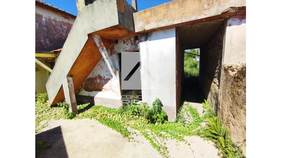 Moradia T3 para Venda em Pinheiro da Bemposta, Travanca e Palmaz Foto 24