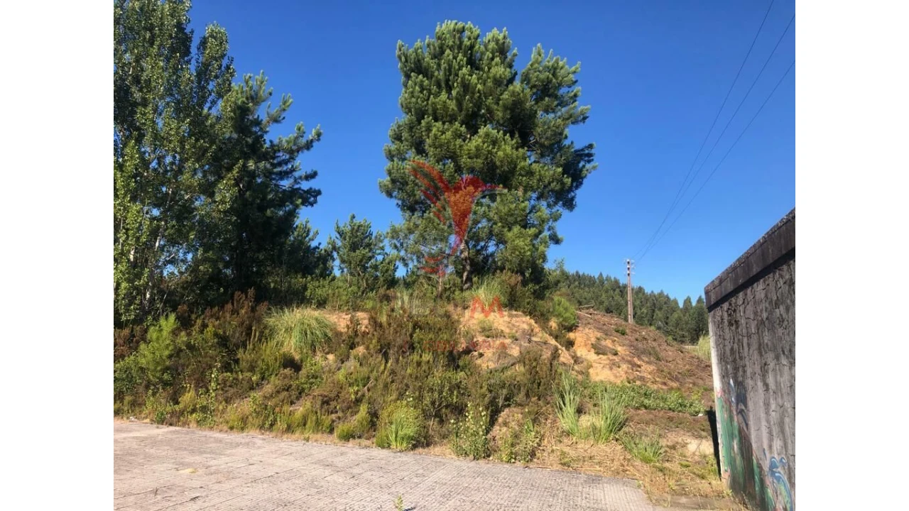 Terreno para Venda em Pelariga Foto 6