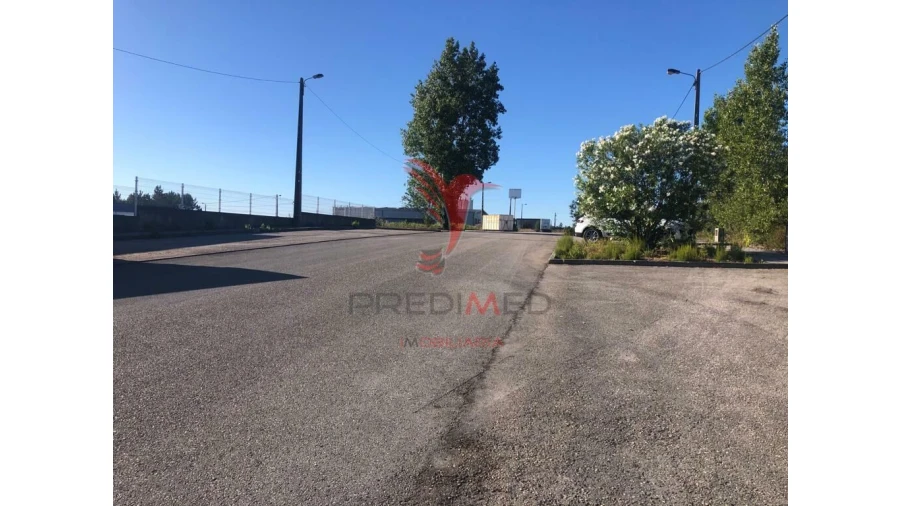 Terreno para Venda em Pelariga Foto 13