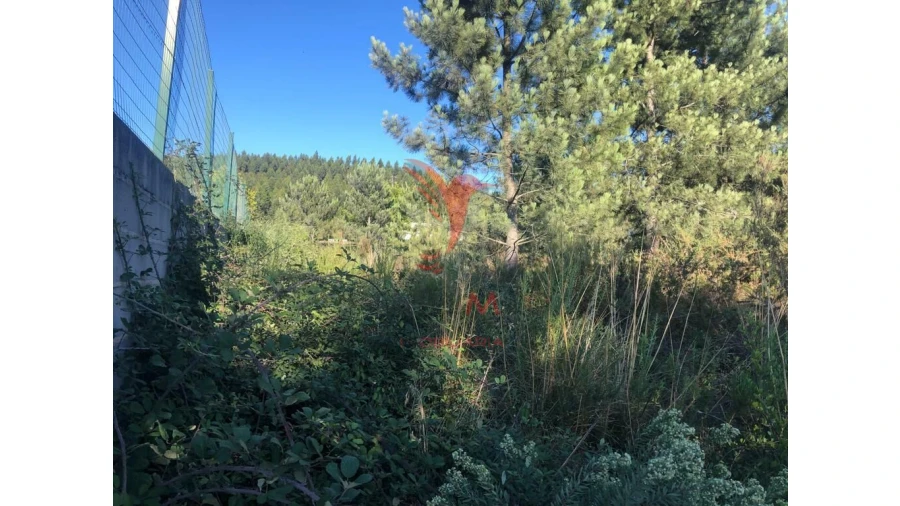 Terreno para Venda em Pelariga Foto 7