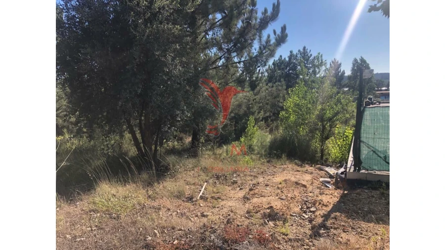 Terreno para Venda em Pelariga Foto 10