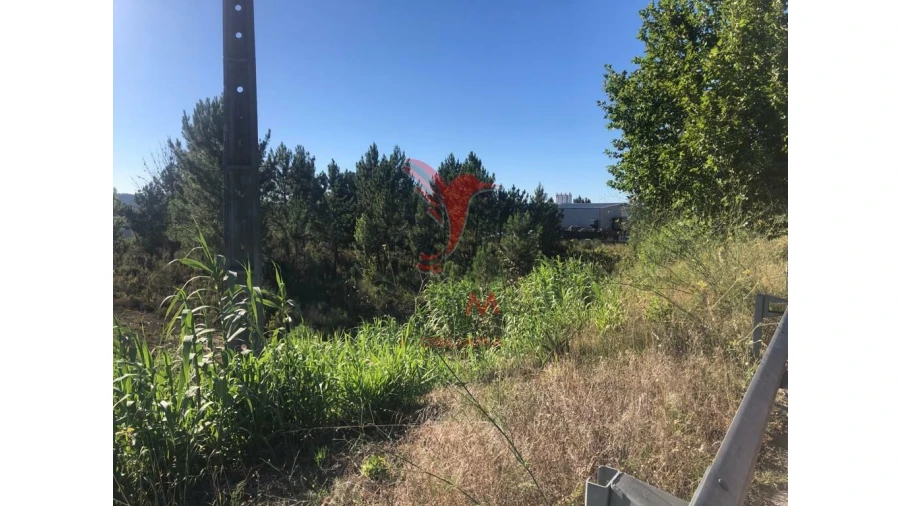 Terreno para Venda em Pelariga Foto 9