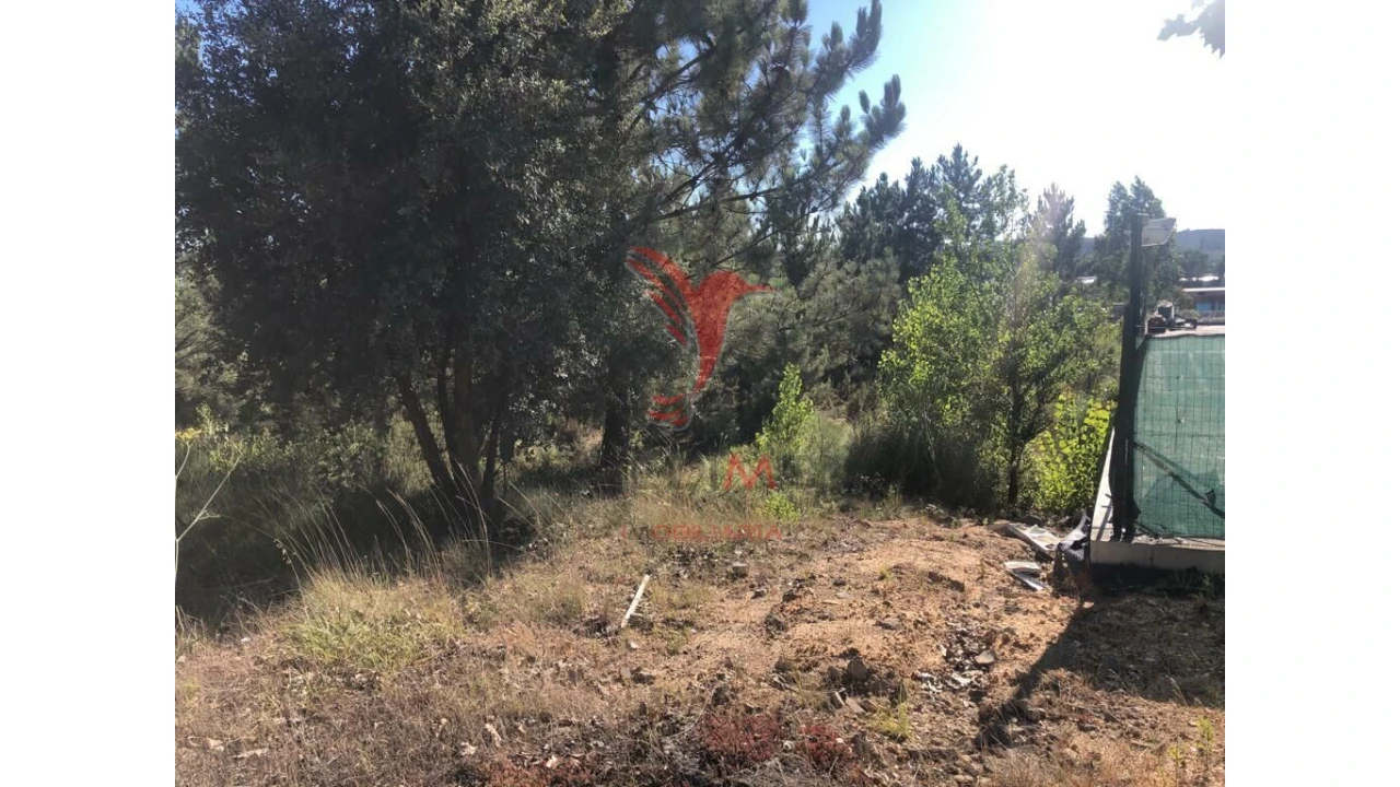 Terreno para Venda em Pelariga Foto 5