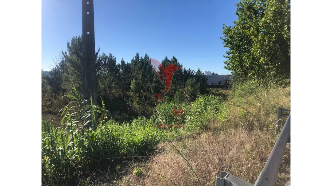 Terreno para Venda em Pelariga Foto 9