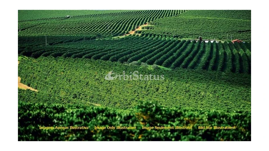 Terreno para Venda em Torrão Foto 1