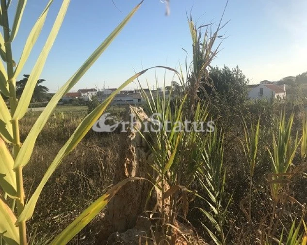 Terreno para Venda em Sesimbra (Castelo) Foto 3