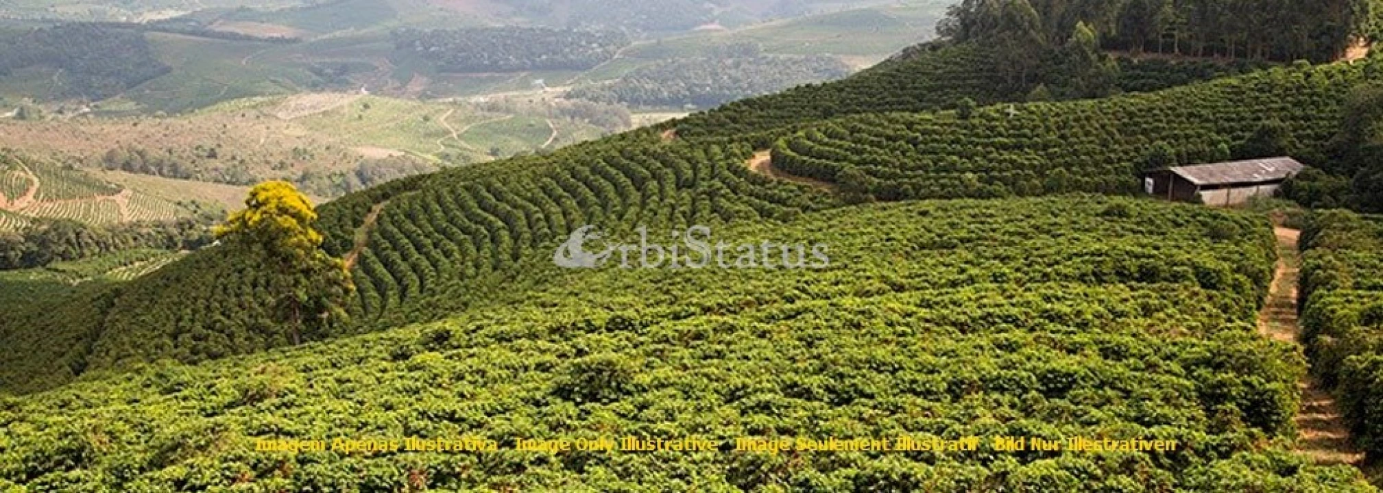 Quinta para Venda em Reguengos de Monsaraz Foto 1