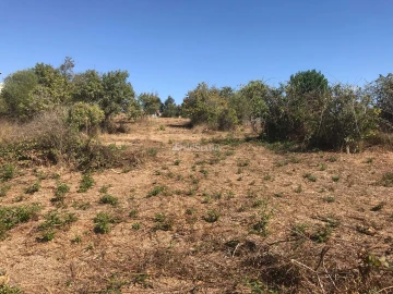 Terreno para Venda em Sesimbra (Castelo)
