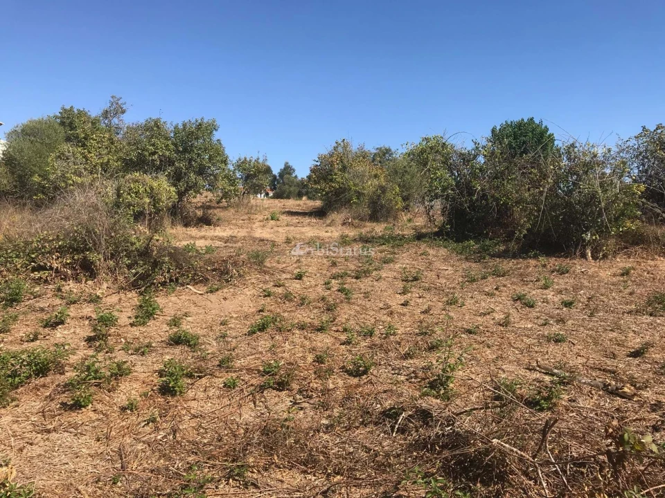 Terreno para Venda em Sesimbra (Castelo) Foto 3