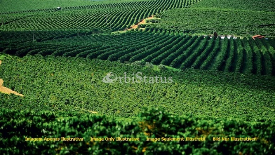 Quinta para Venda em Reguengos de Monsaraz