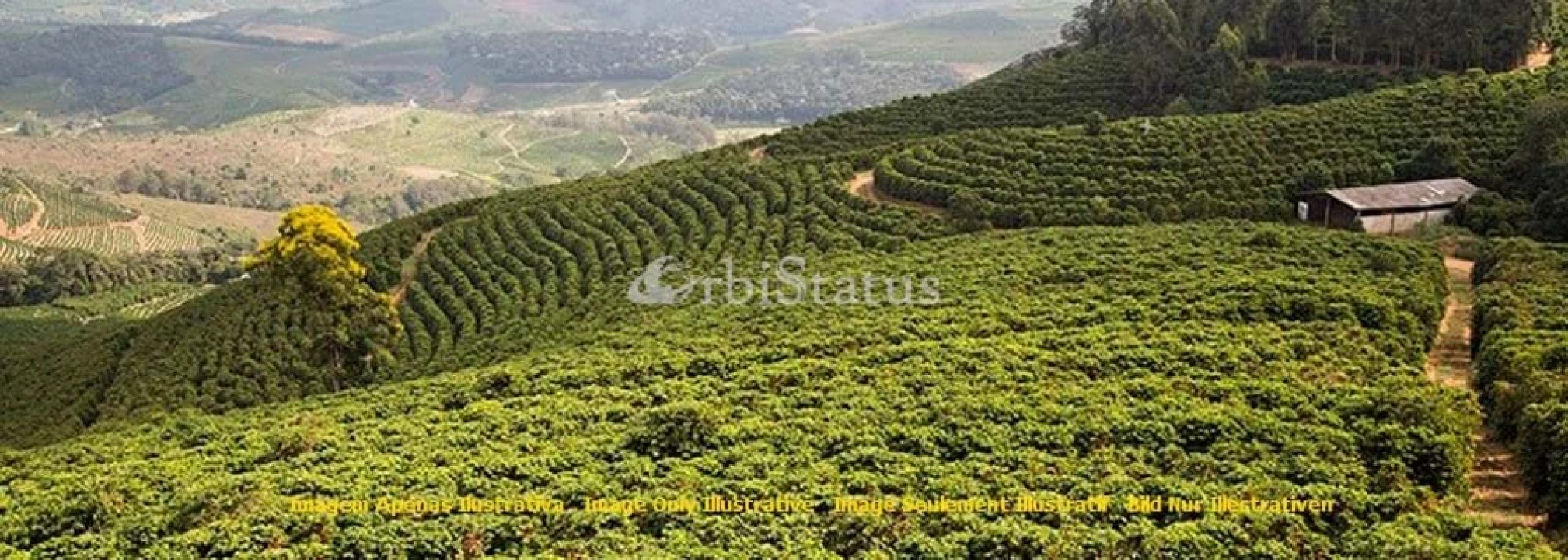 Quinta para Venda em Reguengos de Monsaraz Foto 1